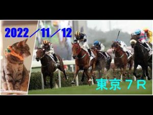 2022/11/12　東京７レース　枠順確定