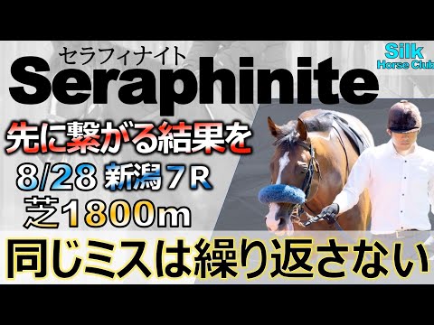 【一口馬主】一歩前進「セラフィナイト」あとは問題の距離延長のみ！