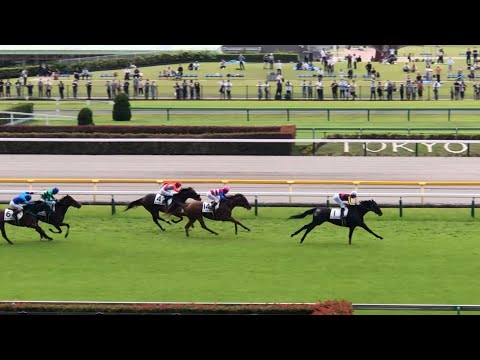 【現地】ゴーシェナイト 3歳未勝利
