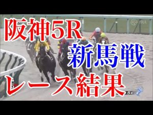 2/19 阪神5R 新馬戦  レース結果