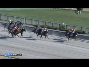2022/11/06　東京競馬場　7R　シャーマンズケイブ　マーカンド騎手