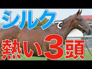 【最高の血統】シルクの最終結論！とにかく走りそうな馬3頭をピックアップ。【一口馬主】