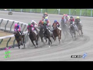 2022 11 19 阪神6R 2歳新馬 スマートフォルス(武豊)