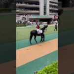 ワンタッチでゴーシェナイトを整えるレーン　#shorts