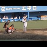【ヤクルト秋季キャンプ】　【プロ野球】前中日の三ツ俣大樹　ヤクルト移籍後初打席です　マンダリンパイレーツ　　ヤングスワローズ