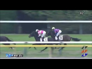 トラマンダーレ　新馬競走　2022.11.13   #ドゥラメンテ＃中央競馬#マーカンド