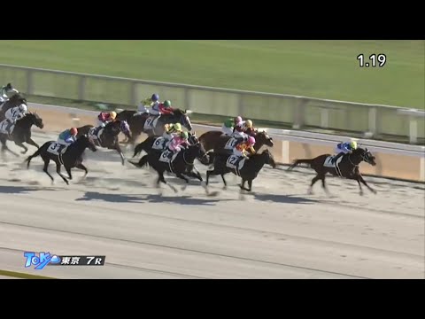 2022/10/29　東京競馬場　7R　キャンディドライブ　ビップソリオ　3連単258万馬券