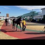 2022.1.19 浦和🐎2R イエスペガサス