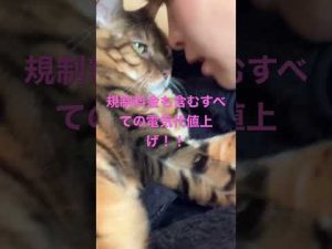 規制料金も含むすべての電気代値上げ！！