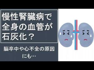 【腎機能低下が引き起こす重大な病気とは？】慢性腎臓病で全身の血管が石灰化！