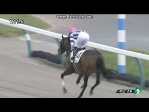 2020年9月19日　中山1R　2歳未勝利牝　アジアノジュンシン　◇藤田 菜七子騎手