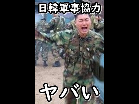 韓国国民の同意がエラれない日本との軍事協力拒否ヤバい、一方、韓国が日本の無料給食所に大注目⇒大半が中韓グエン等と判明しいつもの特大ブーメラン芸がヤバい #shorts #韓国 #自衛隊