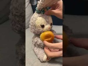 薄皮あんぱんもぐもぐうさぎ(Usagi Eats Bread)