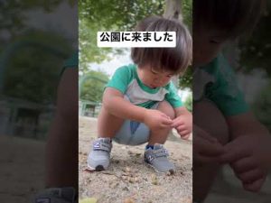 【shorts】どんぐりを拾ういちごくん【2歳3ヶ月】