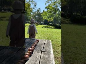 どんぐり君のどんぐり拾い☺︎