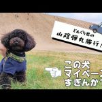 【山陰旅行】自由奔放などんぐり君とのドタバタ旅【前編】