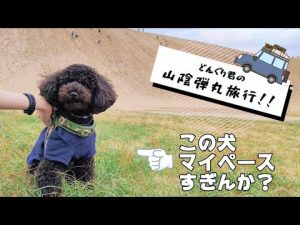【山陰旅行】自由奔放などんぐり君とのドタバタ旅【前編】