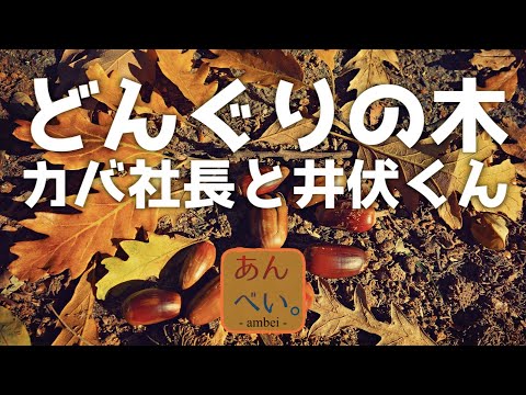 どんぐりの木／カバ社長と井伏くん【MV】