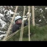 「大雪」暦通りに積雪　南昌荘で“雪つり”＜岩手・盛岡市＞ (22/12/07 11:57)