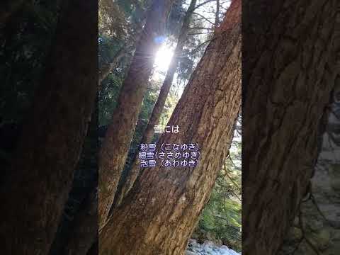 雪がふる！？12月7日大雪☃#大雪#二十四節気#暦#日本の暮らし