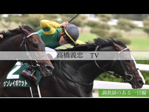 【高橋義忠TV】調教師のある一日(木曜日編)