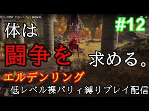 #12 エルデンリング 体は闘争を求める配信