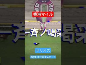 香港マイル出走馬！サリオス！ #競馬 #ウマ娘 #サリオス #香港マイル #ウマ娘 #shorts s