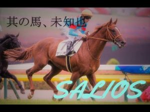 【競馬MAD】サリオス～未知なる素質〜「フィクサー」