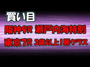 【買い目】 阪神9R瀬戸内海特別 アルナシーム　東京7R カヨウネンカ【競馬】
