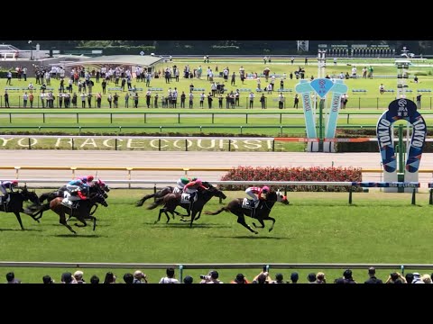【現地】カヨウネンカ 3歳未勝利 (エンロサディラ 小林脩斗も無事完走)