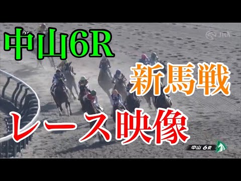 12/10 中山6R 新馬戦 レース映像