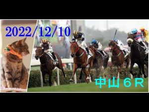 2022/12/10　中山６レース　新馬　枠順確定