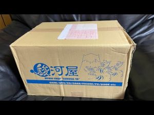 駿河屋福袋 同人誌箱いっぱいセット（男性向け）380円 開封！