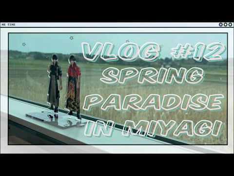 〘vlog〙Spring paradise 宮城に行く日　｜HiHi Jets｜スプパラ｜HAF｜遠征vlog｜