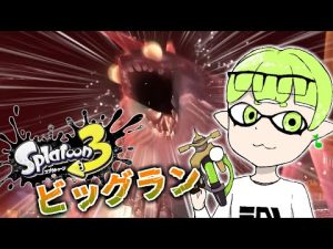 【サモラン】上位50%は乗りたいのでまったり【スプラ3】