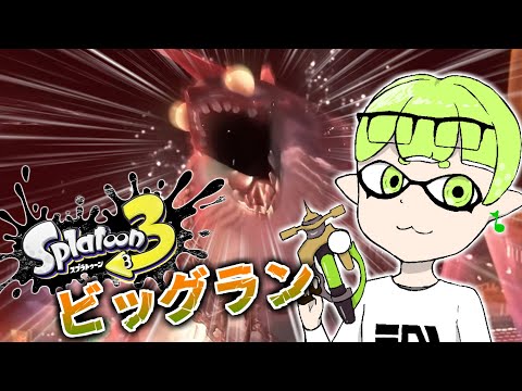 【サモラン】上位50%は乗りたいのでまったり【スプラ3】