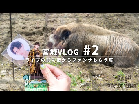 VLOG / 奇跡のHiTube先取り!!!!! 八木山動物公園🐗スプパラ宮城初日Vlog ▶動物園が８割 / 春パラ前に猪さんからファンサもらう篇【第2夜】