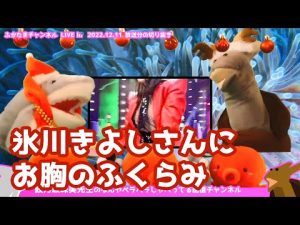【ふかたま雑談LIVE】氷川きよしさん、お胸がぷるんぷるんになってしまう ─ 鮫乃坂先生のなんやペラペラしゃべってる配信チャンネル【切り抜き】