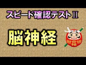 【聞き流し・スピード確認テストⅡ・21】脳神経（解剖生理学・神経系）