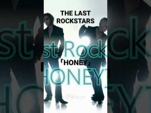 THE LAST  ROCKSTARS-「HONEY」 #thelastrockstars #cover  #larcenciel  #honey