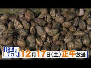 『ＣＢＣスペシャル 報道のチカラ ～地域の声をつなぐ～』偽りのアサリ ‟その後“～産地偽装の闇～  4時間の生放送でお届けします。