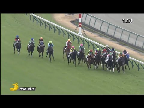 2022/12/17　中京競馬場　6R　パンドレア　馬群から華麗に抜け出し勝利