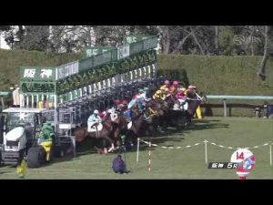 2021/12/18　パンドレア　新馬戦