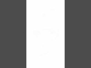 【歌詞動画】同担☆拒否/さとみくん ※主は同担拒否じゃないです