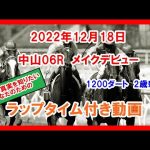 メイクデビュー レヴィナス 2022年12月18日 中山 06R 1200ダート 2歳新馬  ラップタイム付き動画