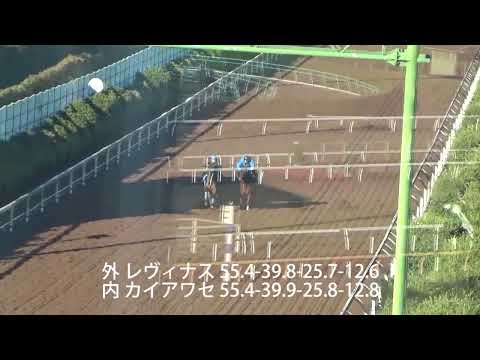 2022／12／7　カイアワセ・レヴィナス