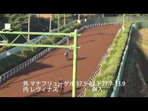 2022／11／17　マナフリューゲル・レヴィナス