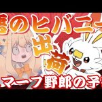 【剣盾交換】このヒバニーにお前らが価値をつける。ヒバニー大量放出！！！【シラナミチャンネル】
