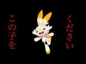 【剣盾】無限孵化編〜ヒバニー色違いを求めて〜【完】　【ポケットモンスターソード】