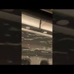 【ショート】台風8号接近による大雨の中を走る新幹線のぞみ12号の車窓 #shorts #japan #shinkansen #rain